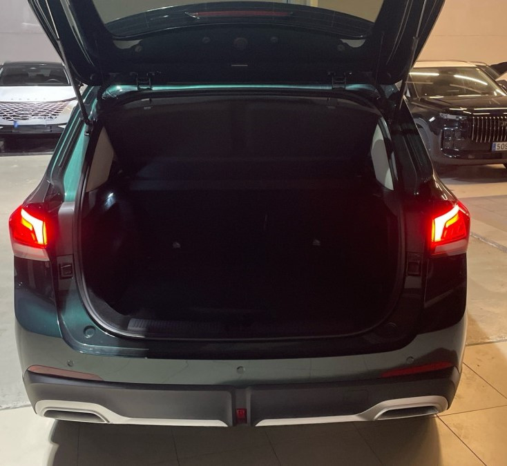 Imagen de Mg ZS