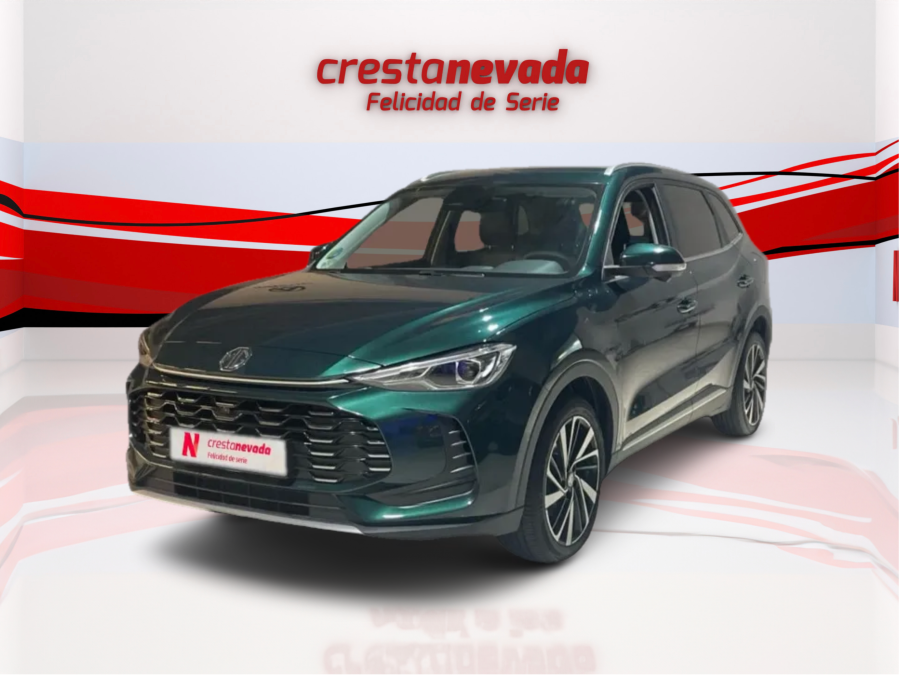 Imagen de Mg ZS