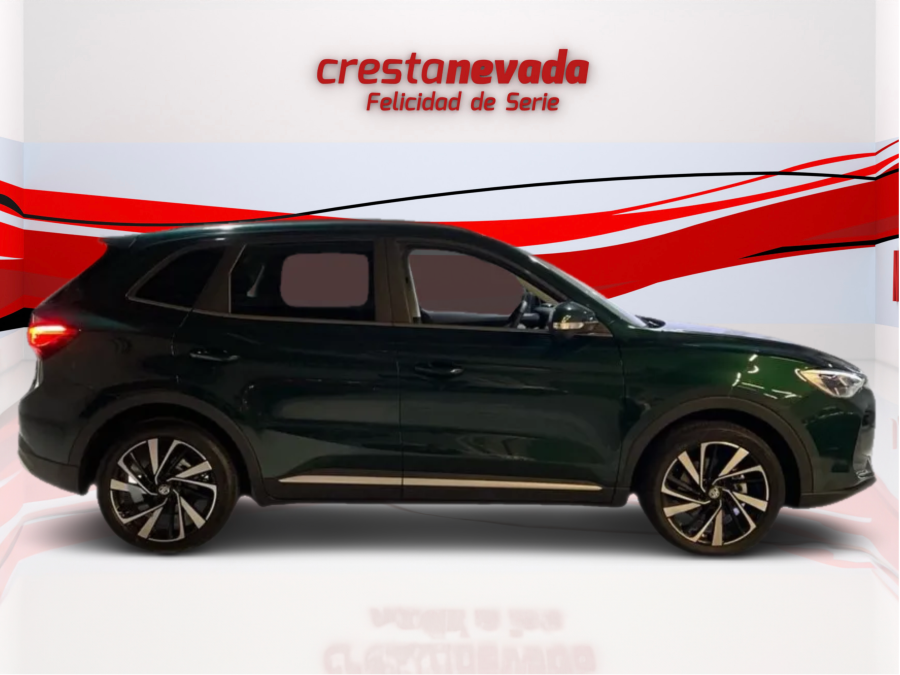 Imagen de Mg ZS
