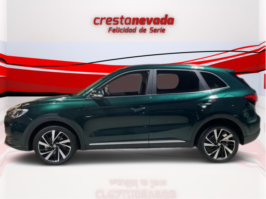 Imagen de Mg ZS