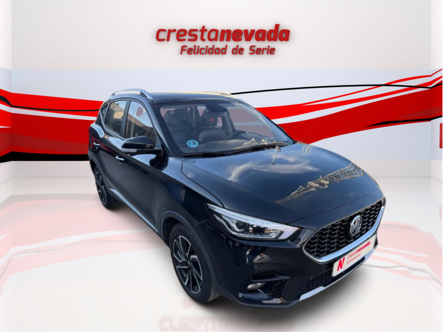 Imagen de Mg ZS