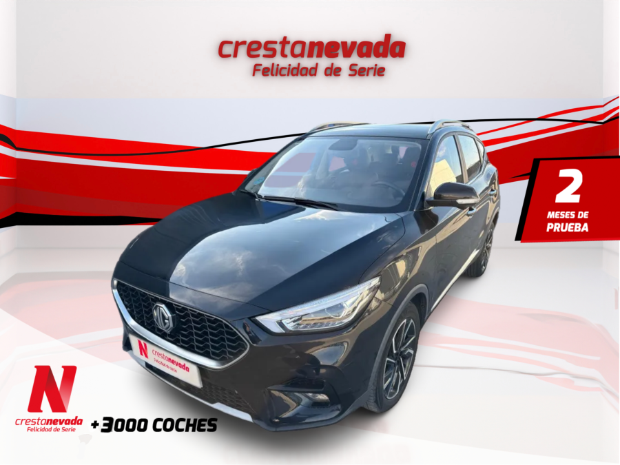 Imagen de Mg ZS