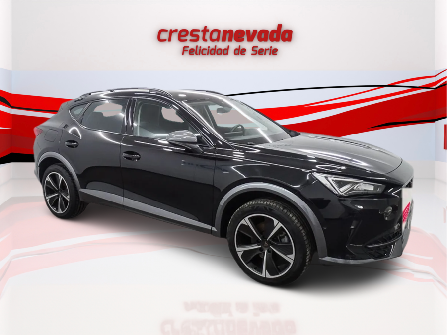 Imagen de cupra Formentor