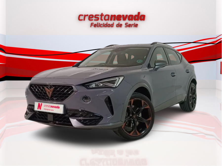 Imagen de cupra Formentor