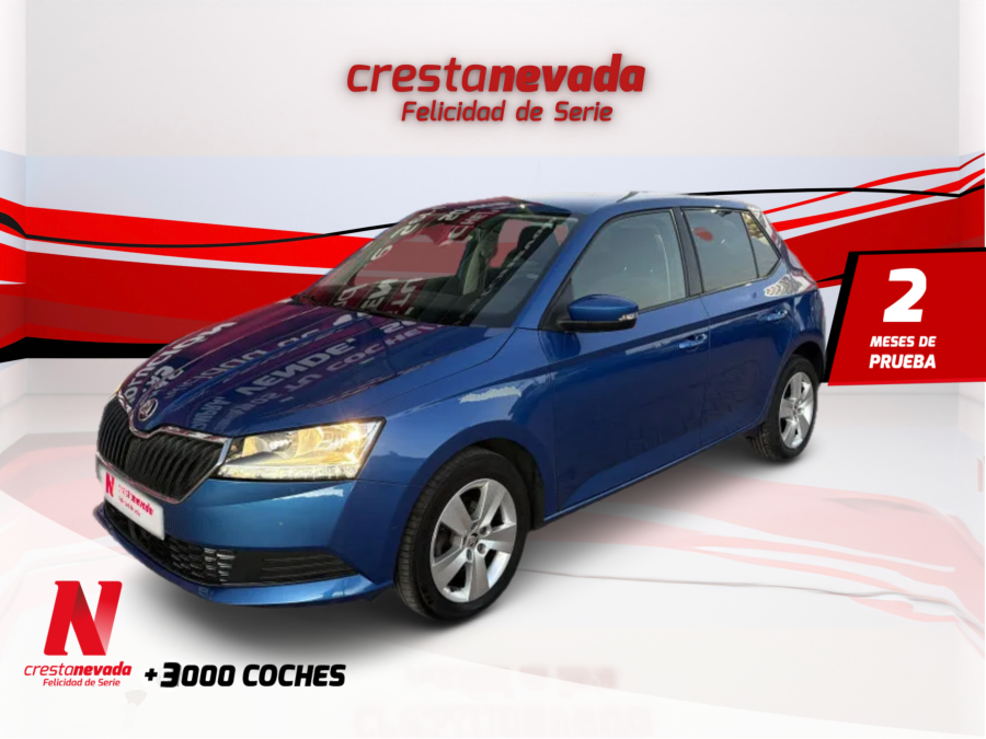 Imagen de Skoda Fabia
