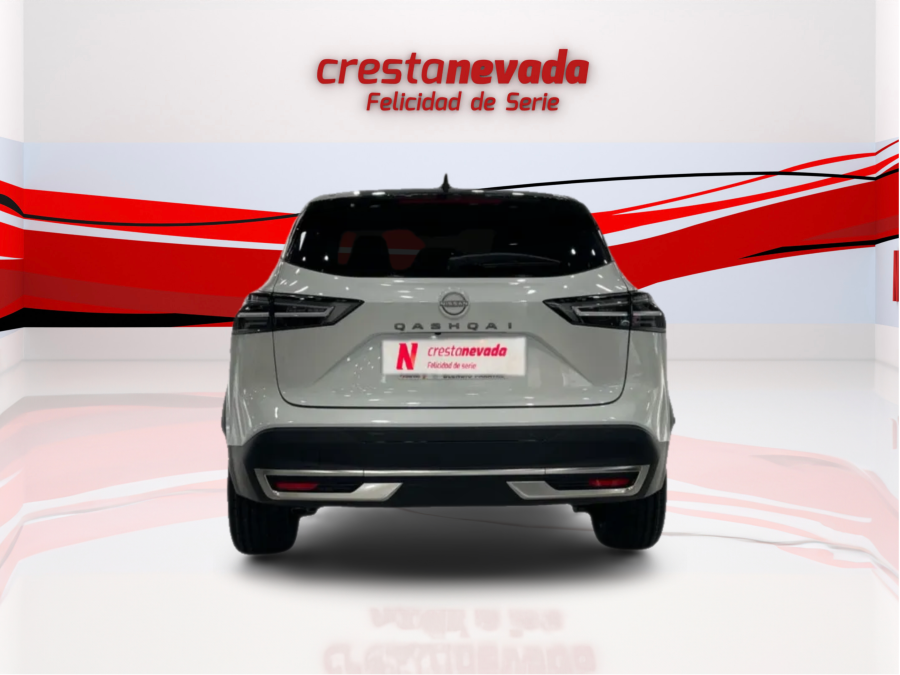 Imagen de NISSAN QASHQAI