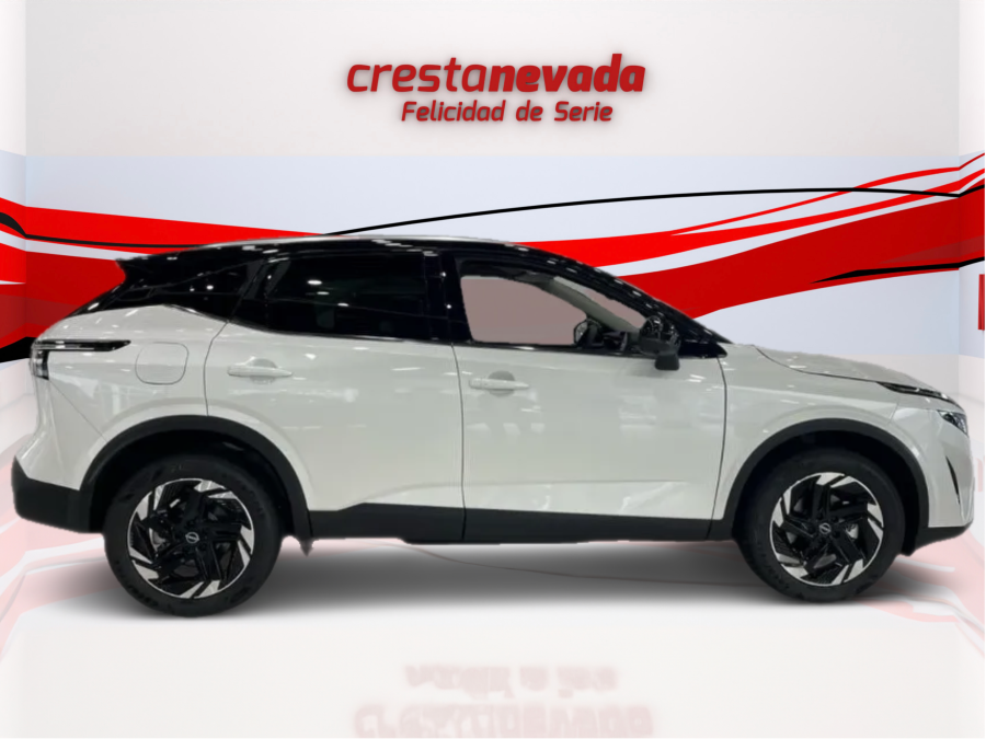 Imagen de NISSAN QASHQAI