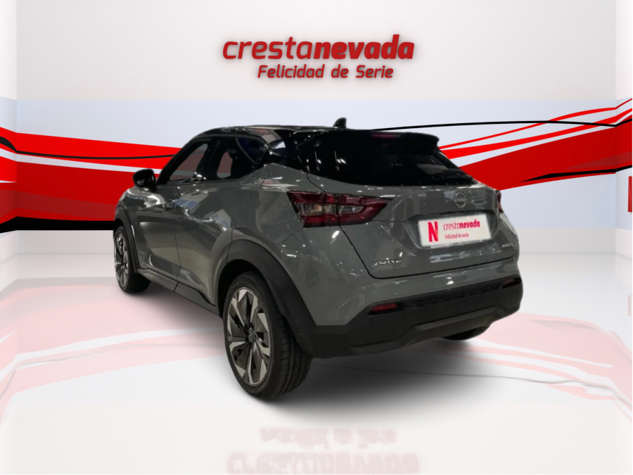 Imagen de NISSAN JUKE