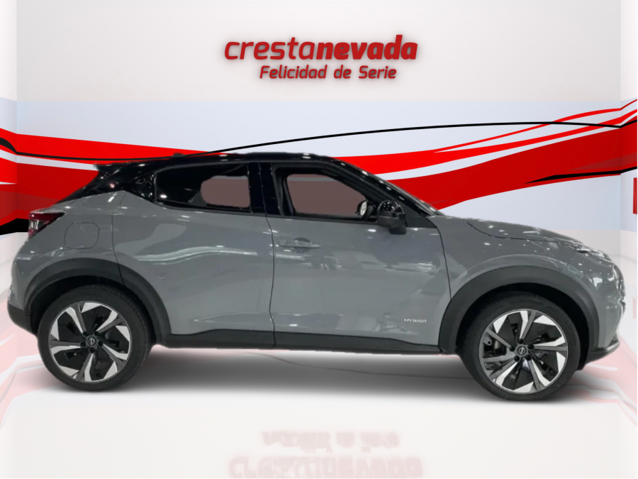 Imagen de NISSAN JUKE