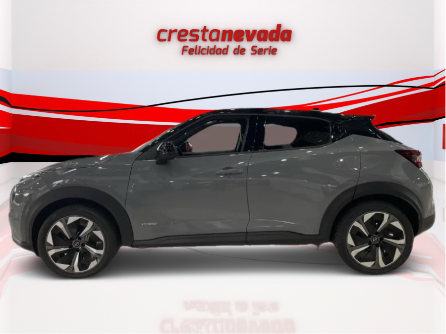 Imagen de NISSAN JUKE