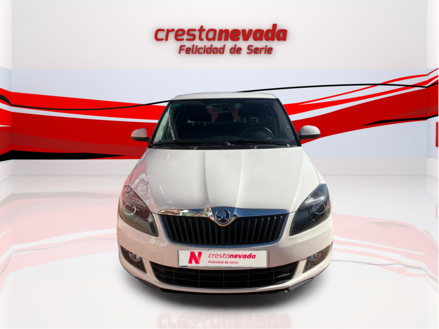 Imagen de Skoda Fabia