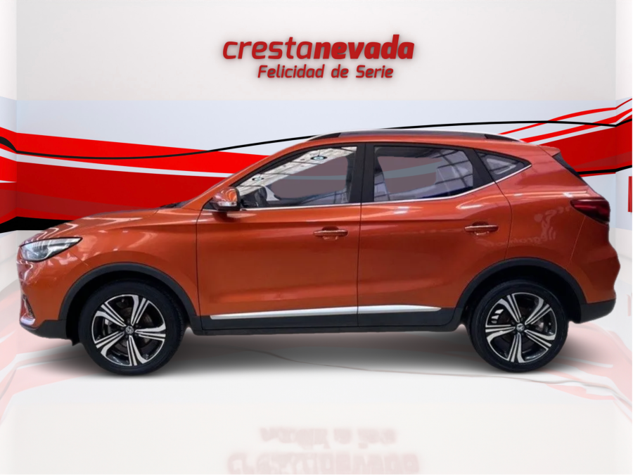 Imagen de Mg ZS