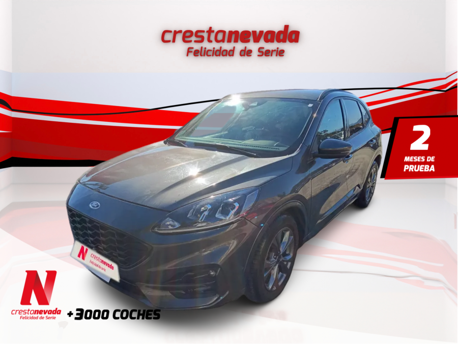 Imagen de Ford Kuga