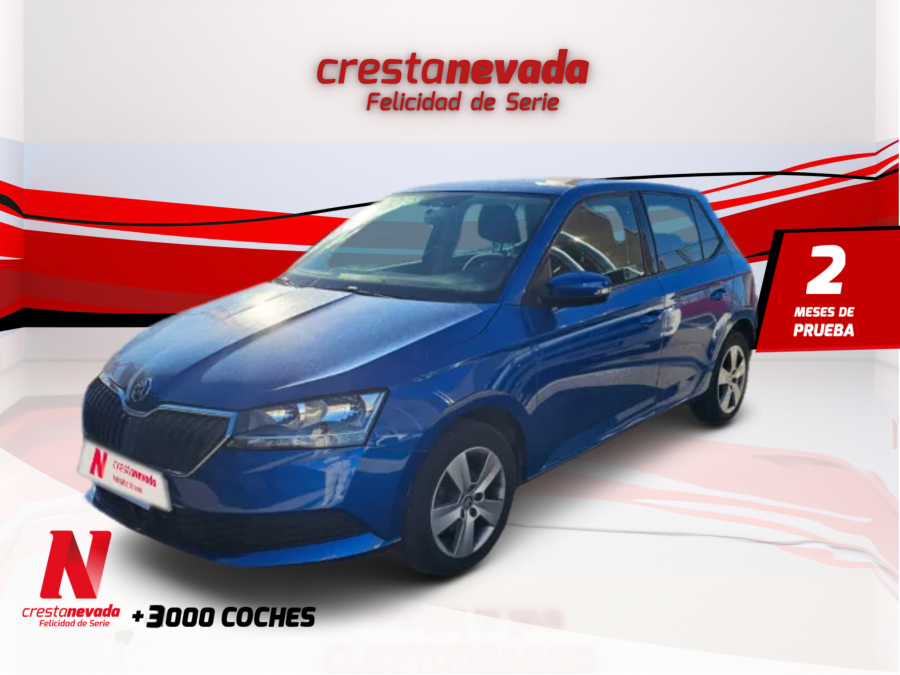 Imagen de Skoda Fabia