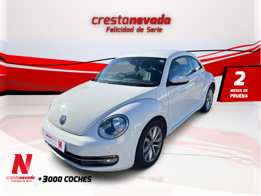 Imagen de Volkswagen New Beetle