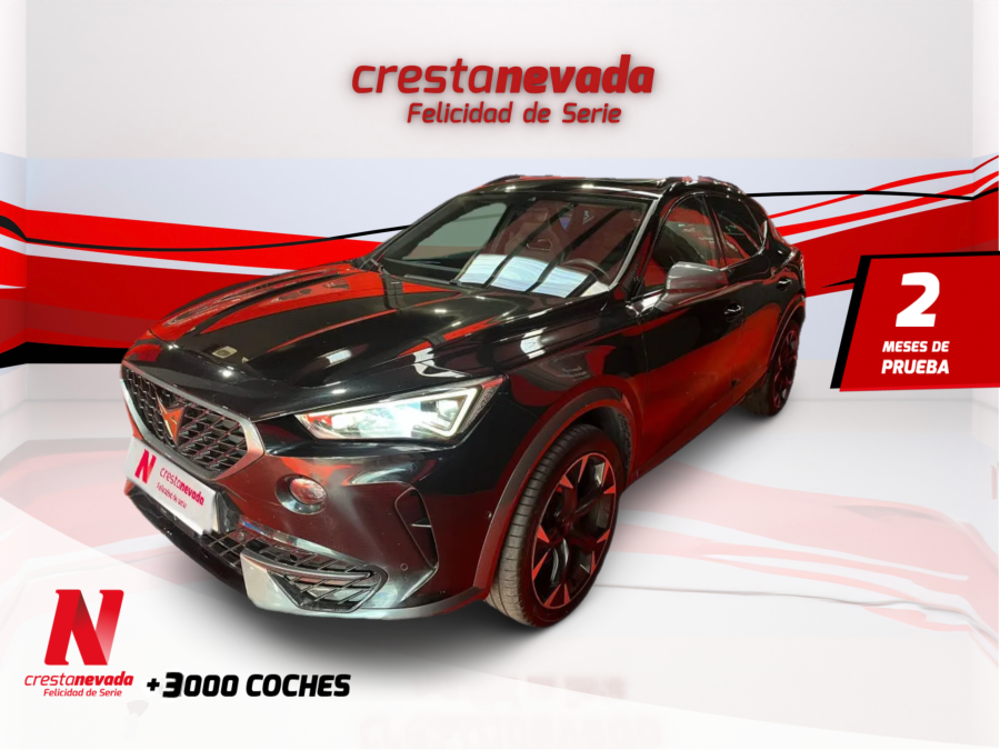 Imagen de cupra Formentor