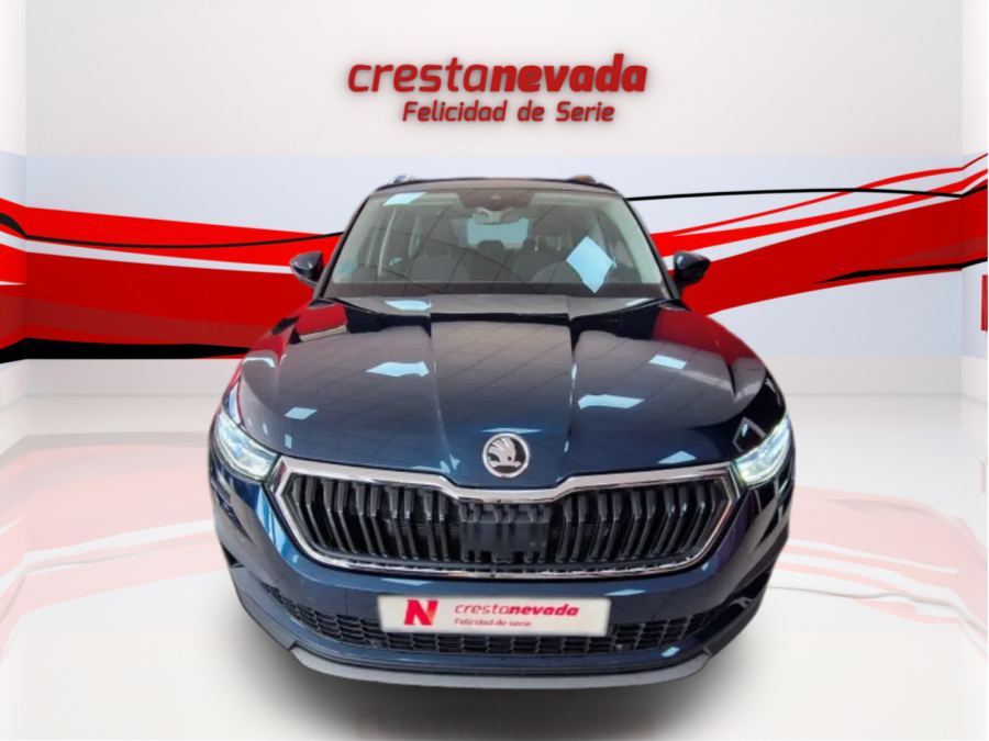 Imagen de Skoda Kodiaq
