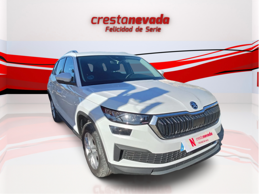 Imagen de Skoda Kodiaq