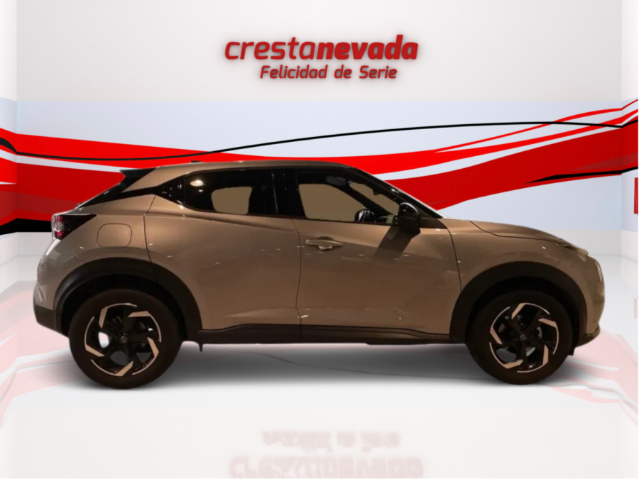 Imagen de NISSAN JUKE