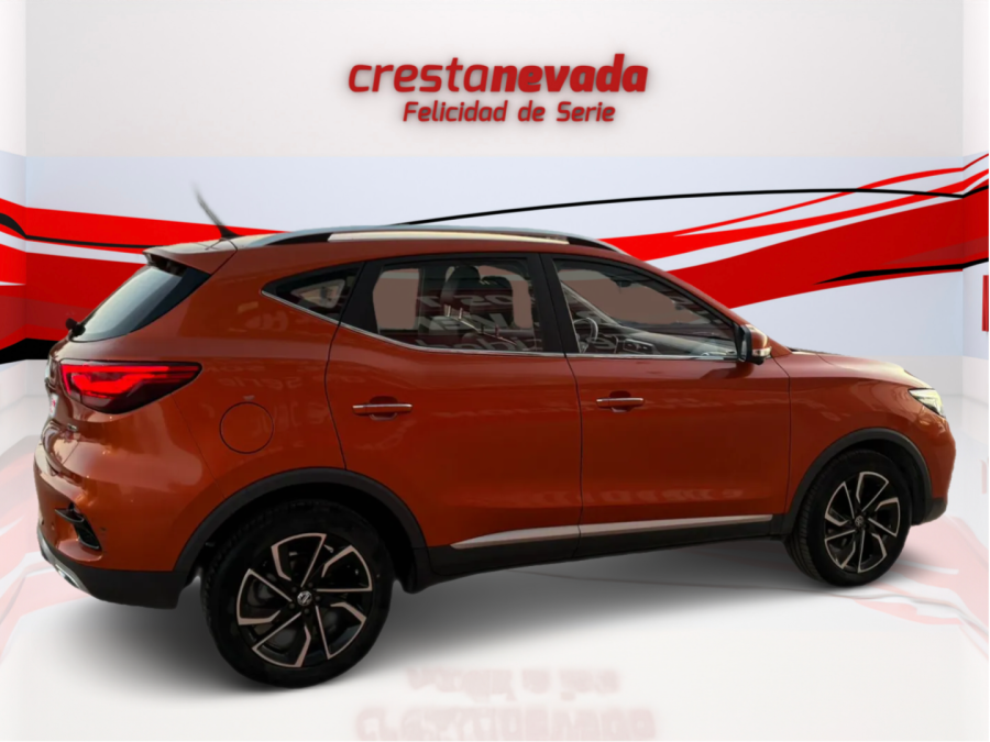Imagen de Mg ZS