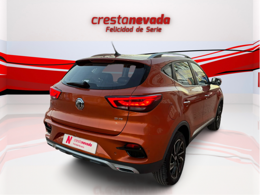Imagen de Mg ZS