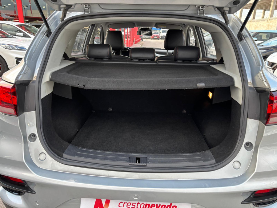 Imagen de Mg ZS