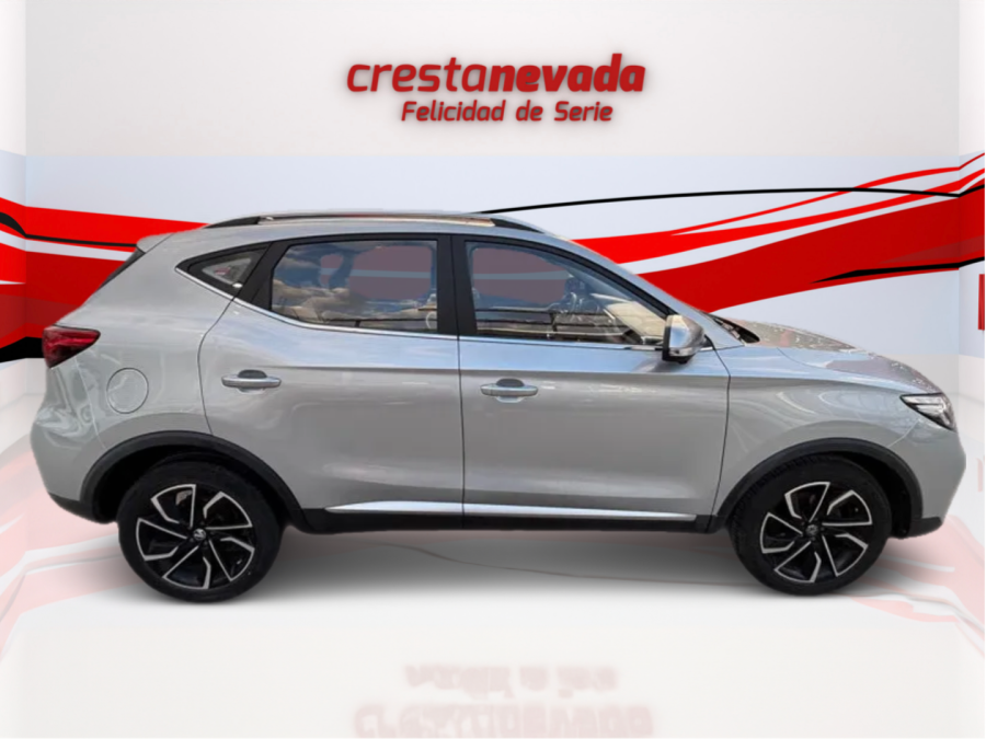 Imagen de Mg ZS
