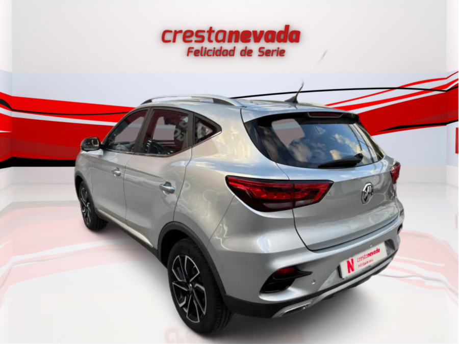 Imagen de Mg ZS