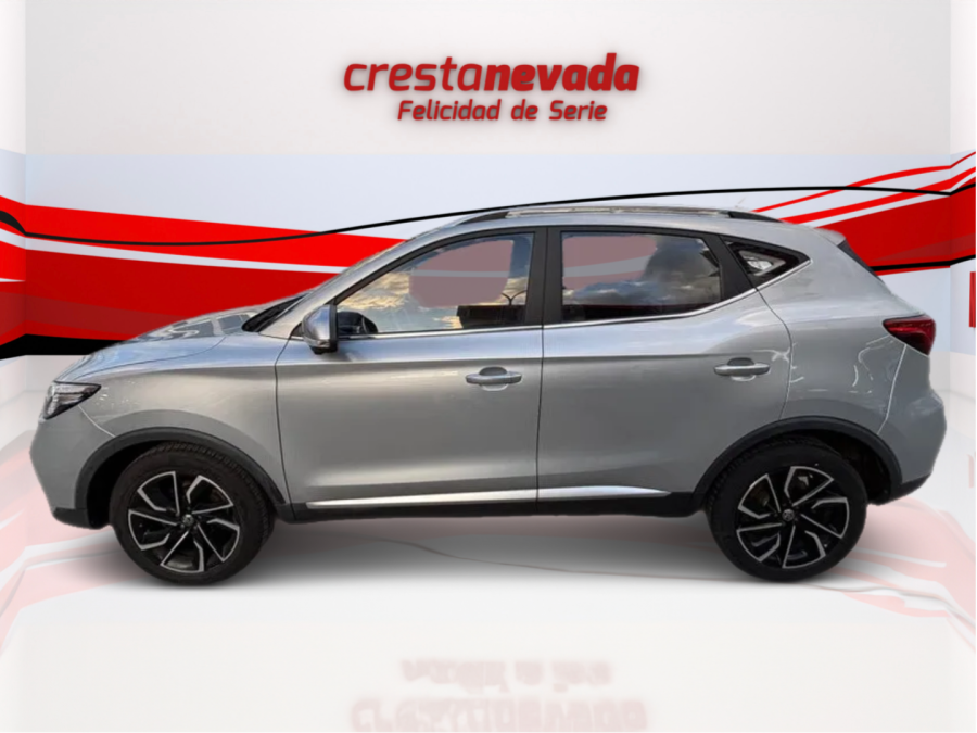 Imagen de Mg ZS
