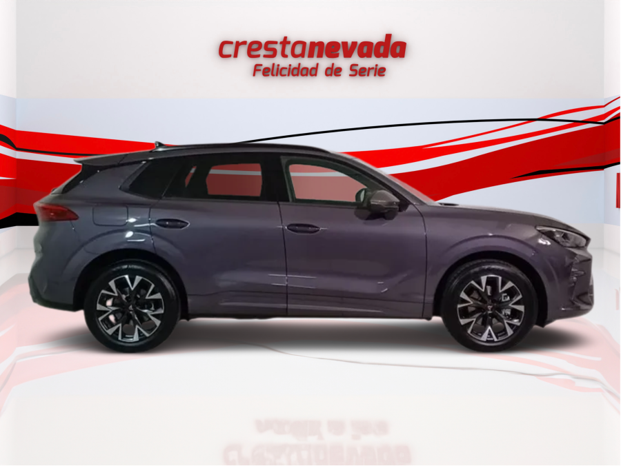 Imagen de cupra Terramar