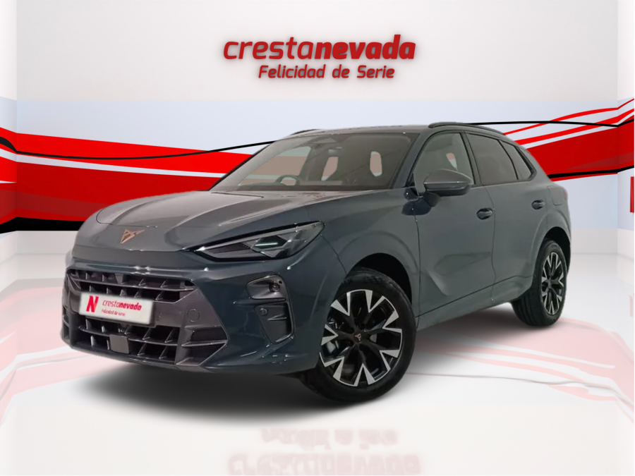 Imagen de cupra Terramar