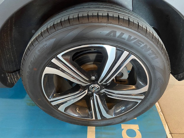 Imagen de Mg ZS