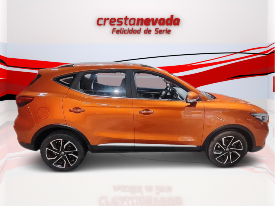 Imagen de Mg ZS
