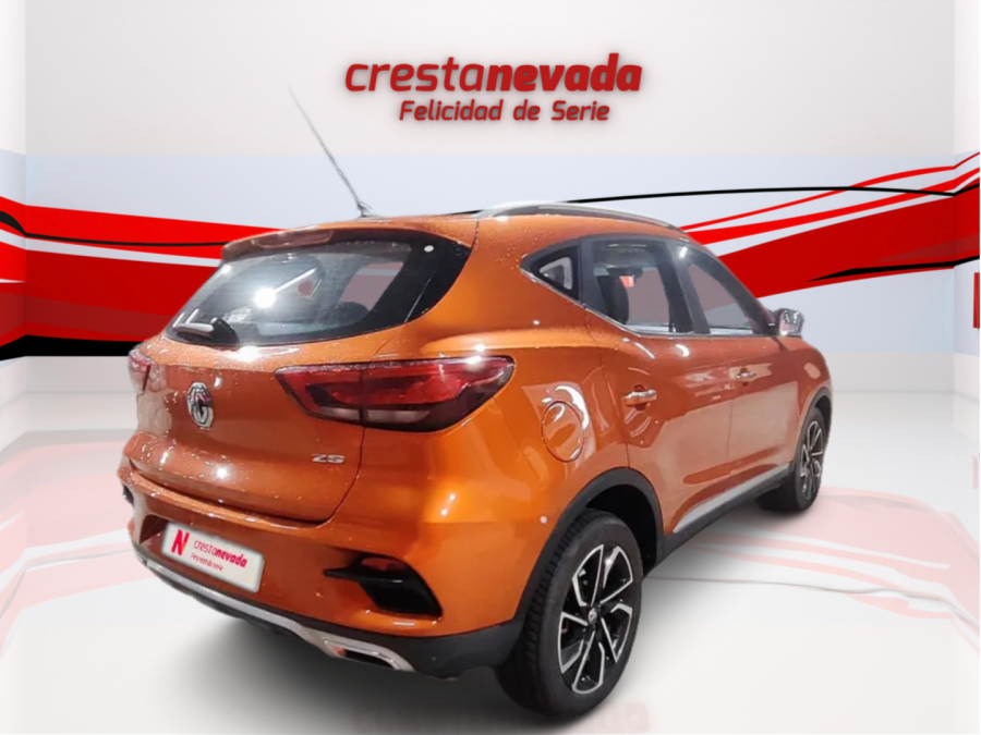 Imagen de Mg ZS