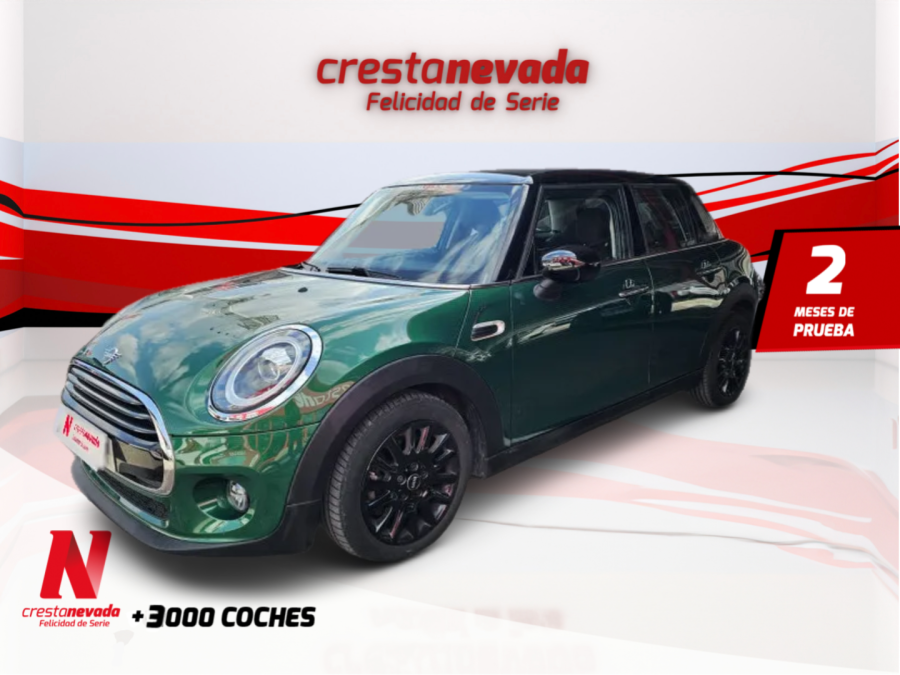 Mini Mini