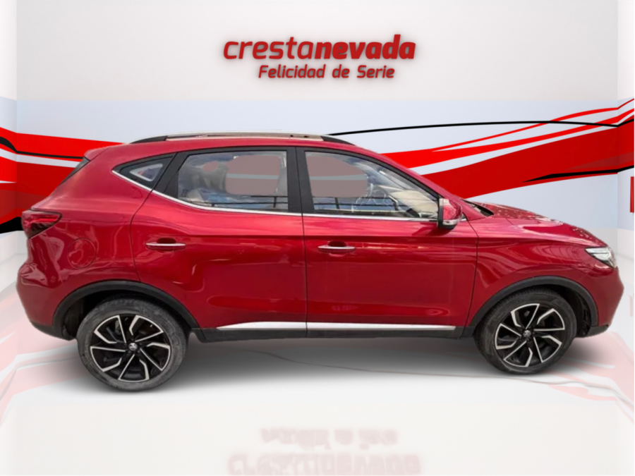 Imagen de Mg ZS