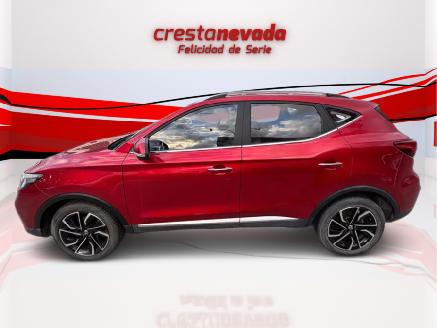 Imagen de Mg ZS