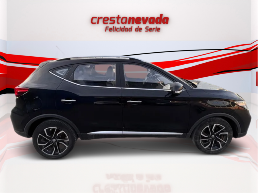 Imagen de Mg ZS