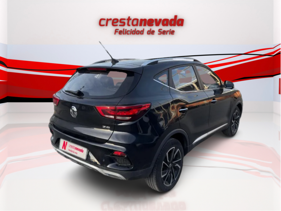 Imagen de Mg ZS