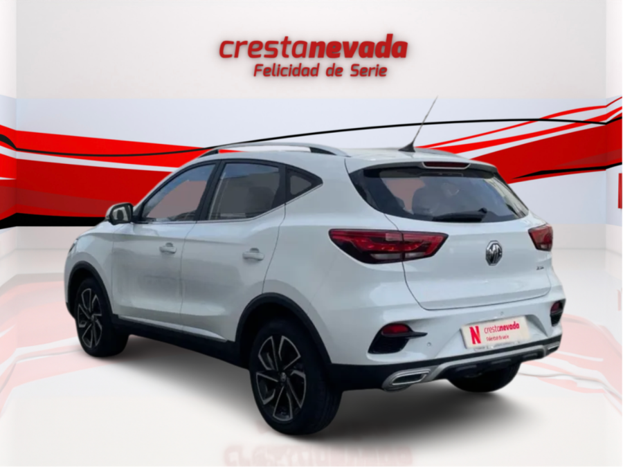 Imagen de Mg ZS