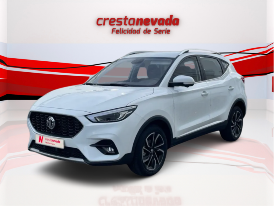 Imagen de Mg ZS