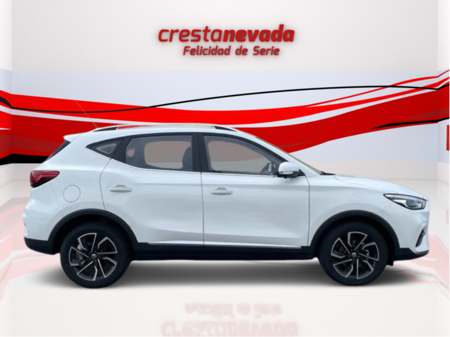 Imagen de Mg ZS
