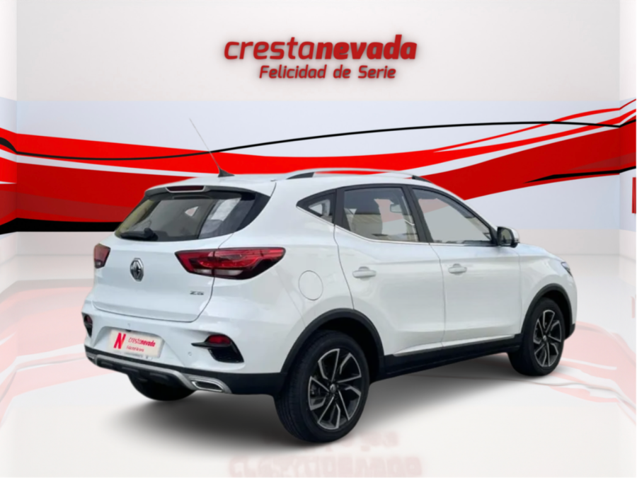 Imagen de Mg ZS