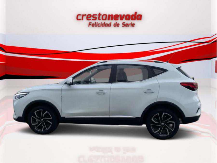 Imagen de Mg ZS