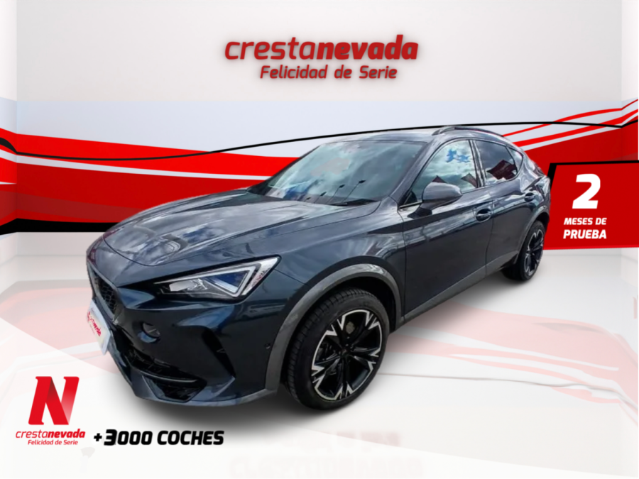 Imagen de cupra Formentor