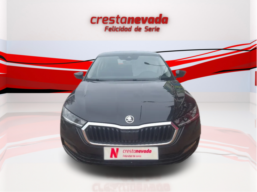 Imagen de Skoda Octavia