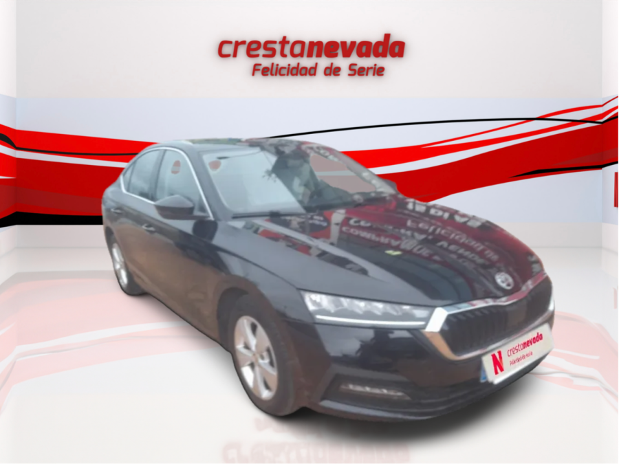 Imagen de Skoda Octavia