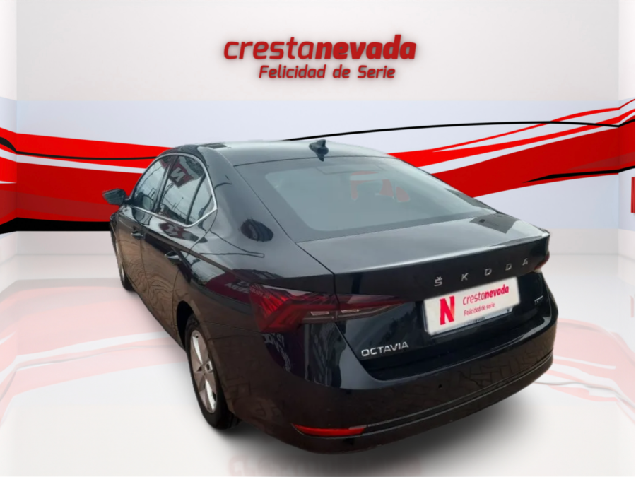 Imagen de Skoda Octavia