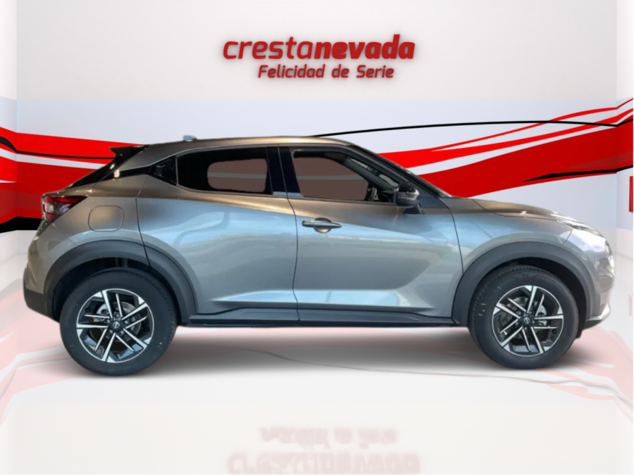 Imagen de NISSAN JUKE