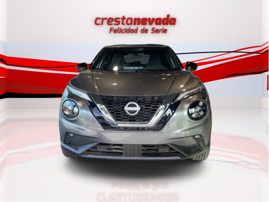 Imagen de NISSAN JUKE